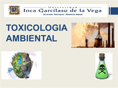 Ppt Toxicologia Ambiental Exposicion Any Goicochea