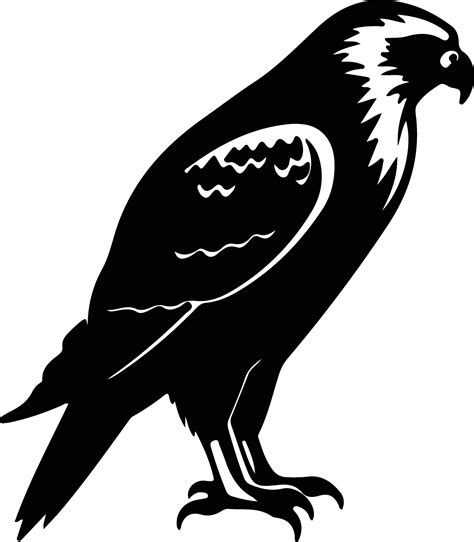 hawk black silhouette 38101191 Vector Art at Vecteezy