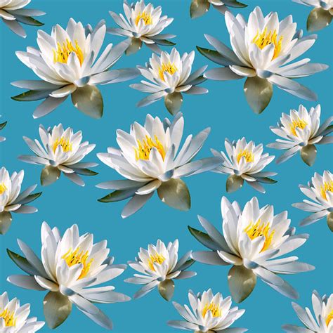 Water Lily Pattern Art Print By Christina Rollo Pattern Art Patterns Canvas Lily Pattern