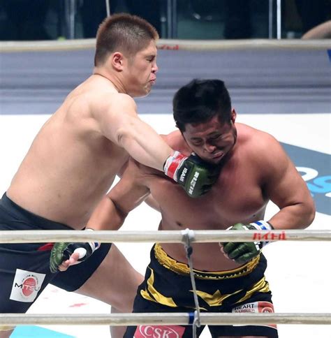 Rizin・スダリオ 宮本を8秒撃破「つまらない試合してすみません」 ファイト デイリースポーツ Online