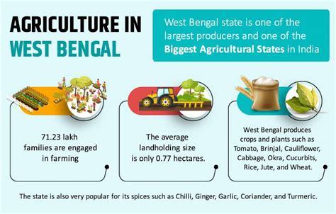 Top 5 Crop Producing States In India Leading Agricultural States