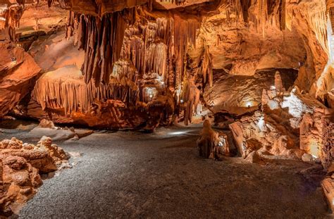 Shenandoah Caverns - 4 Photos - Shenandoah Caverns, VA - RoverPass