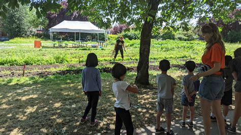 Meet the Flame Weeder: Why We're Using Fire on the Farm - Fresh Roots