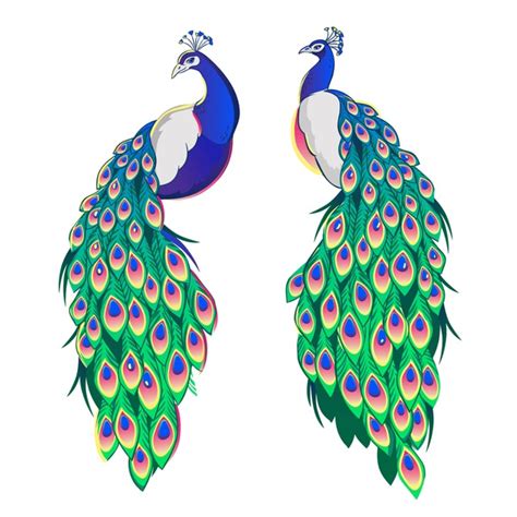 2 194 Beautiful Peacock Images Stock Vectors And Vector Art Shutterstock