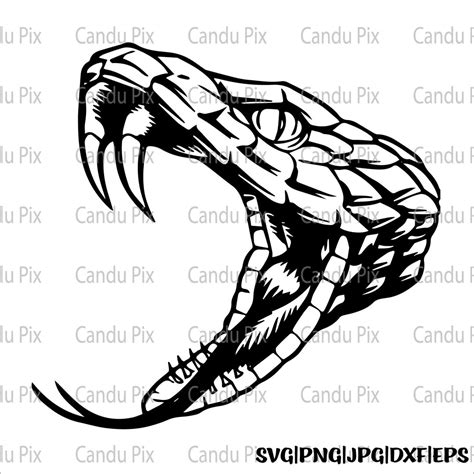 Rattlesnake Head Svg Snake Svg Rattlesnake Png Snake Png Cricut