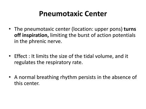 PPT - Control of Breathing PowerPoint Presentation, free download - ID:1931564