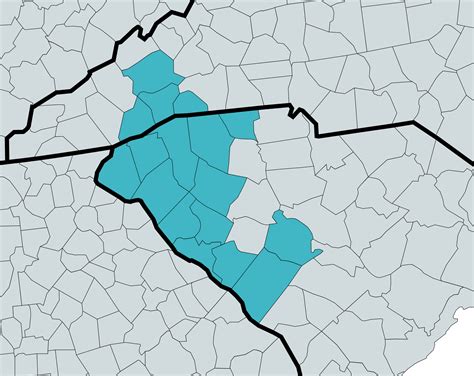 Mobile Surgery and Fear-Free Veterinary Care - Palmetto Veterinary