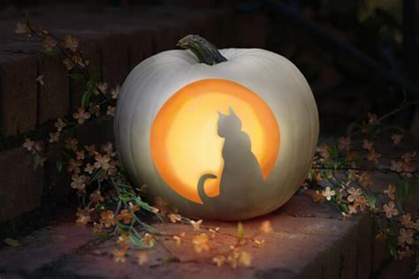 Carve A Kitty Jack O Lantern With One Of These Cat Pumpkin Carving Patterns