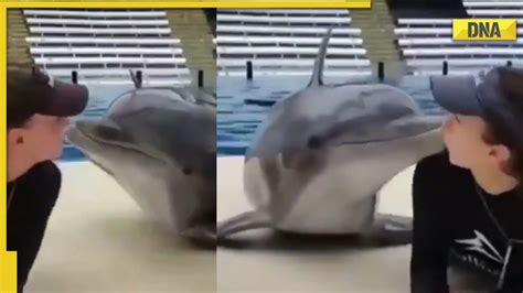 Viral Video Dolphin Kisses Two Women Internet Loves It