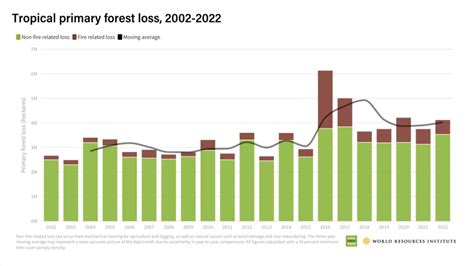 Rainforest Losses Rise In 2022 Signs Of Progress Present Hope