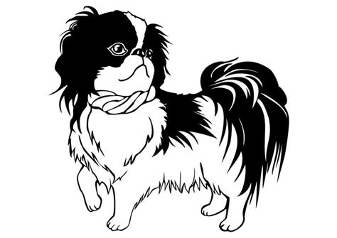 Papillon Dog Coloring Pages At Free Printable