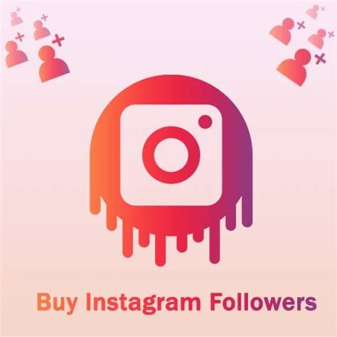 Buzzoid Instagram Likes At Rs 399 Unit In Jaipur Id 2849358371048