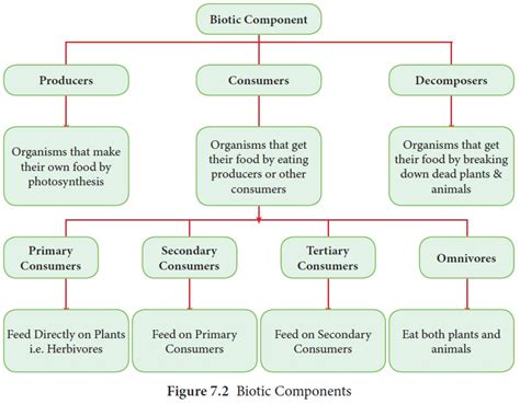 The Biosphere Indian Geography Study Materials