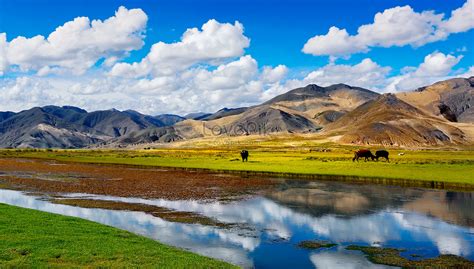 Tibet Scenery Picture And HD Photos | Free Download On Lovepik