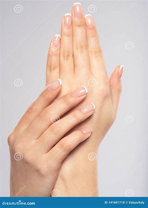 Beautiful Female Hands Woman Hands With Beautiful French Manicure