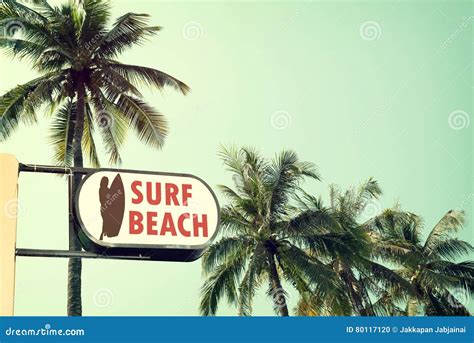 Vintage Surf Beach Signage And Coconut Palm Tree On Tropical Beach Blue