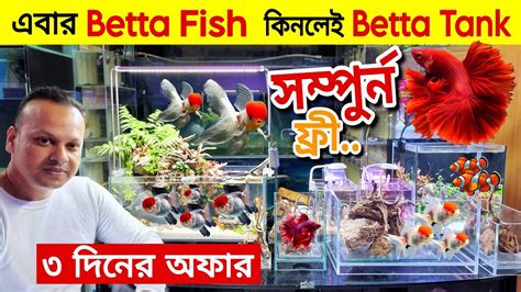 Aquarium Price In Bangladesh Aquarium Fish Price In Katabon Mini