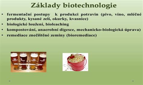 Základy biotechnologie Chemie pro 4 ročník SŠ Výuka Edukavka CZ