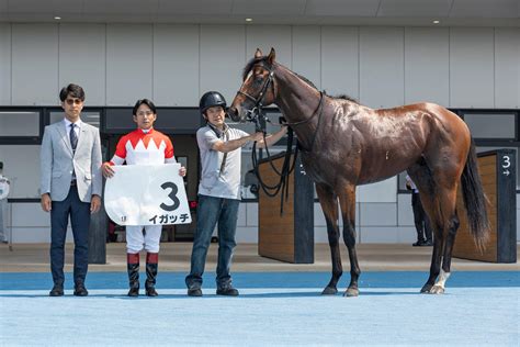 祖母は重賞2勝の快速馬距離延長イガッチがデビュー2戦目で変わり身v／函館1r 2歳馬特集 競馬写真ニュース 日刊スポーツ