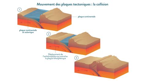 La Tectonique Des Plaques Cours E Et E E Svt