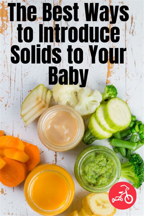 Babys First Foods The Best Ways To Introduce Solids To Your Baby