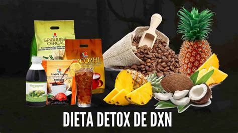 Alimentos Y Bebidas Dxn Productos Org Nicos