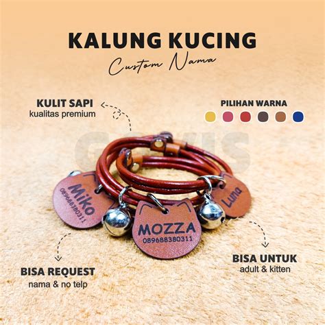 Jual Kalung Kucing Kulit Asli Untuk Kitten Dan Dewasa Bisa Custom