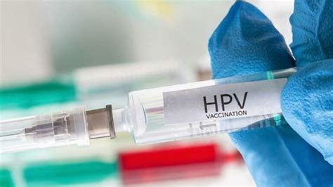 Quem Pode Tomar Vacina Contra O Hpv Pelo Sus Gratuitamente