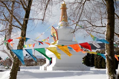 Losar 2024 – Tibetan New Year Celebration - Kamalashila Online Campus