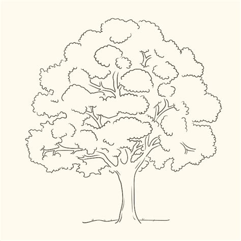 Tree trunk outline Vectors & Illustrations for Free Download | Freepik