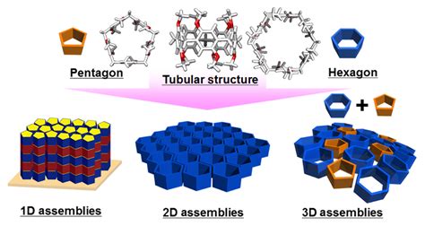 One Two And Three Dimensional Supramolecular Assemblies Based On