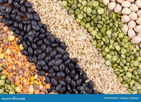 Diagonal Rows Of Dried Grains Stock Image Image Of Garbonzo Green