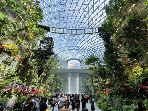 Jewel Changi Flowers at Ashton Sharkey blog