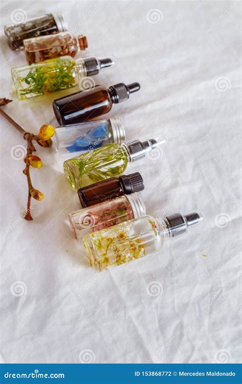 Transparent Bottles Of Essential Oil With Fresh Herbs Stock Photo