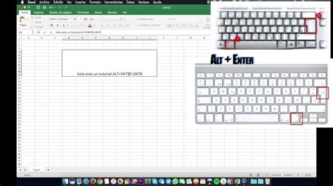 Excel Insertar Salto De L Nea Escribir L Neas En Una Misma Celda