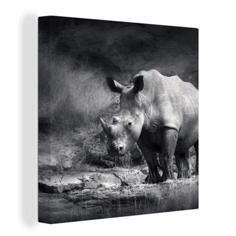 MuchoWow Tableau sur Toile Carré 20x20 cm Rhinocéros Nature