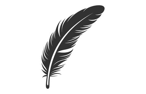 A Feather black Silhouette isolated Vector, Bird Feather Clipart on a white background 35807655 ...