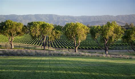 Carey Kendall Presents A Remarkable Santa Ynez Valley Home