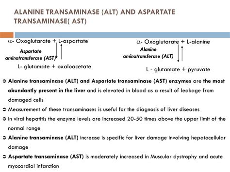 Ppt Enzyme Activity Powerpoint Presentation Free Download Id 1793556