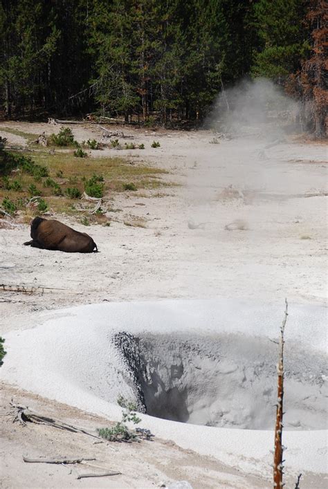 Yellowstonesulphurcald Pennytaylor Flickr