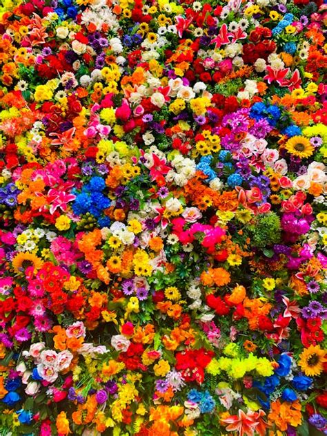 Assorted Variety of Flowers · Free Stock Photo