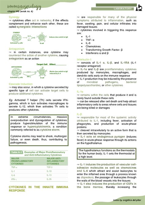 Solution Laboratory Week Cytokines In Vitro Phagocytosis Studypool