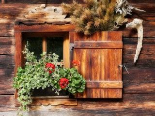 Собирать пазлы онлайн - Луговое разнотравье