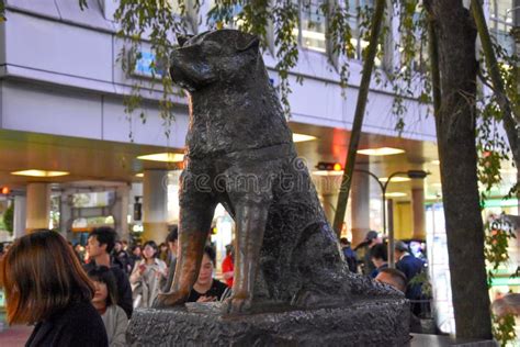 Bronze Statue Of The Famous Dog Hachiko Shibuya Tokyo Japan