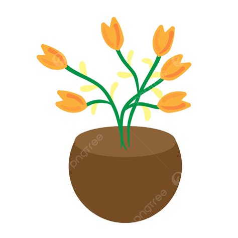 Cute Flower Pot Indoor Houseplant Flower Flower Pot Houseplant PNG