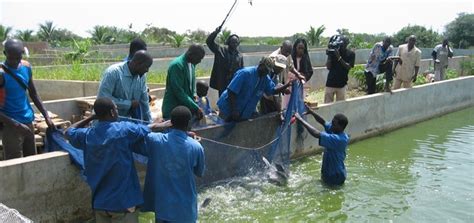 Concours dentrée à linstitut universitaire de pêche et daquaculture