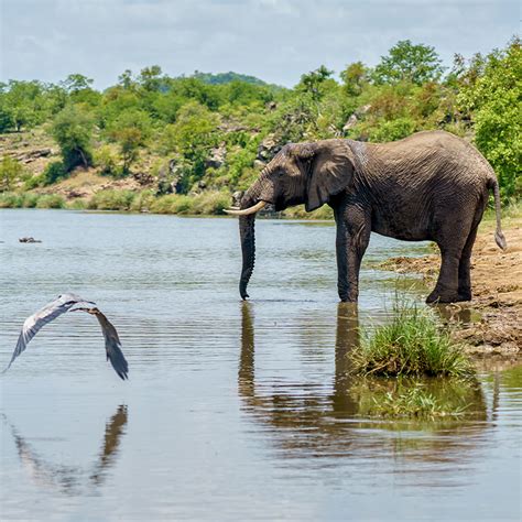 African Rivers - Water, Life, Peace | Home : www.african-rivers.org