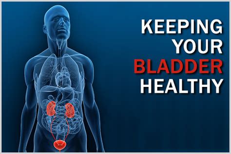 Six Healthy Tips For Bladder Health Month Urology Department