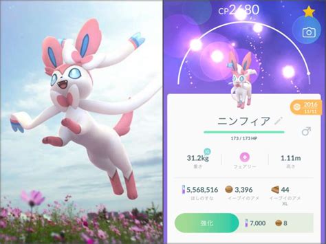 【ポケモンgo】イーブイをニンフィアに進化させる方法！ハートのカウント方法も記載しています。 Nomanoma 面白そうの攻略サイト