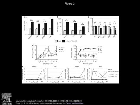 Activation Of Tlr In Keratinocytes Increases Expression Of Genes